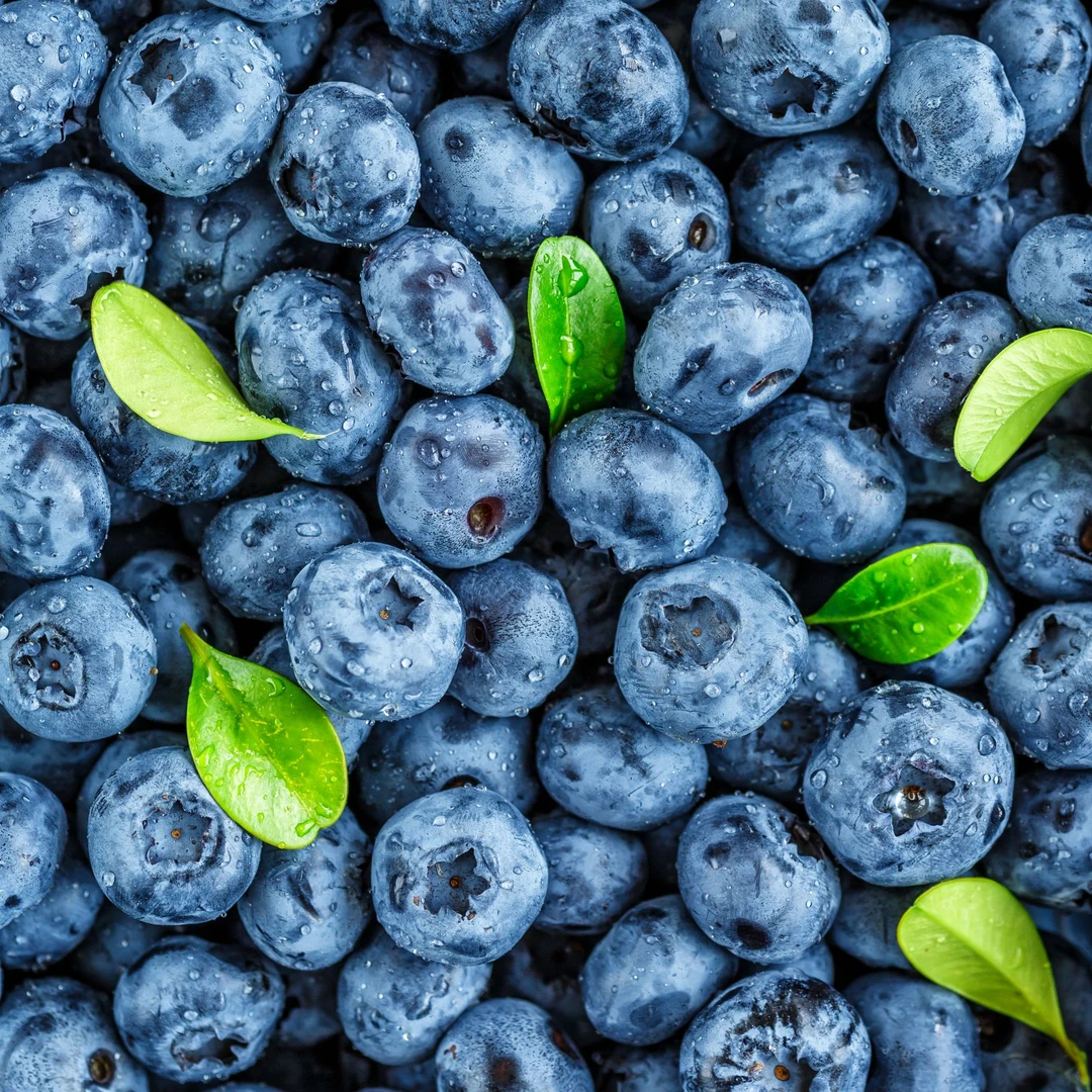 【巨无霸】18-22mm果径现采现摘花香蓝莓100克/盒，到手12盒