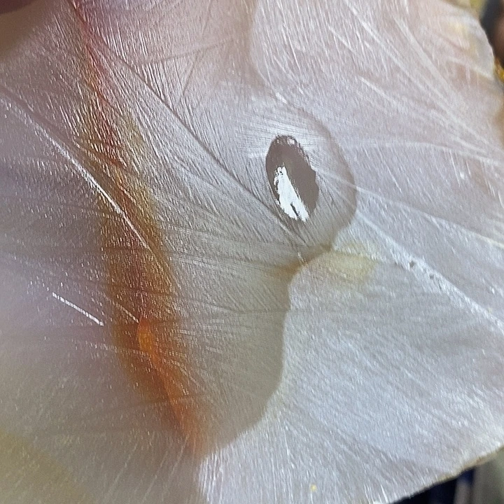 定制玛瑙m*a好咯哦呜图葡萄