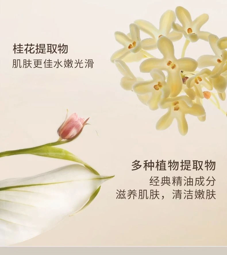 桂花香桂花薰香块