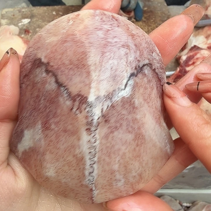 养殖鹿骨三界牌子