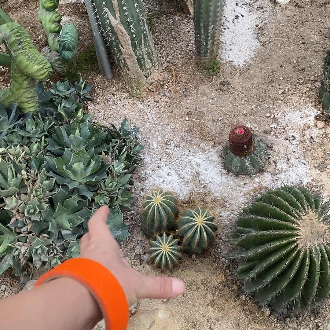 幼***手0000000000000900000