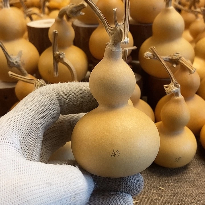 文玩葫芦 完美主义者 慎拍43