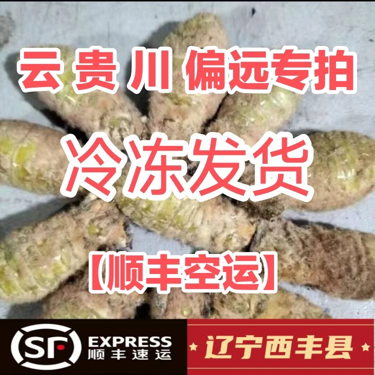 偏远地区专拍（满籽母蚕蛾）顺丰空运包邮