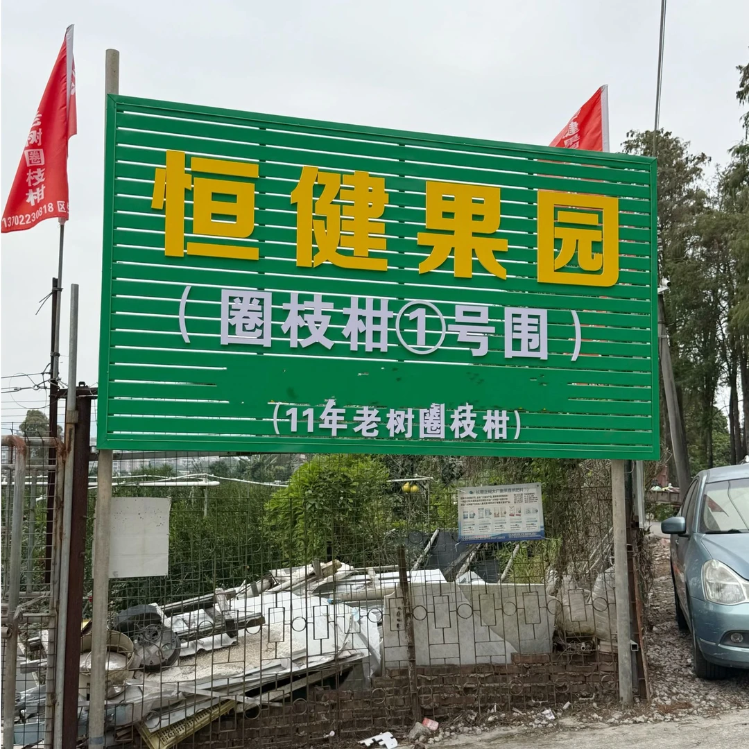 2025年新会陈皮梅江大红皮