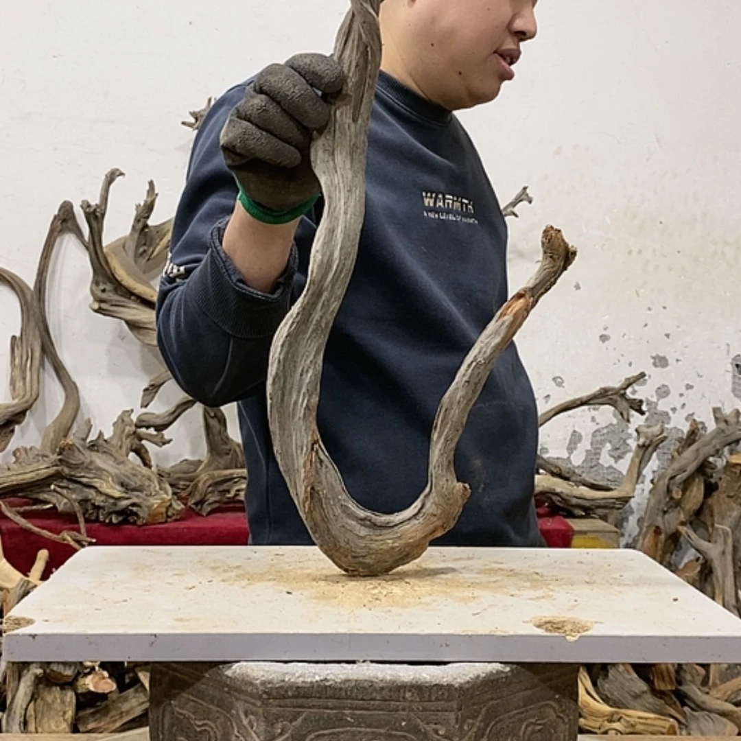 【闪购商品】柏木展****）我们都是好孩子