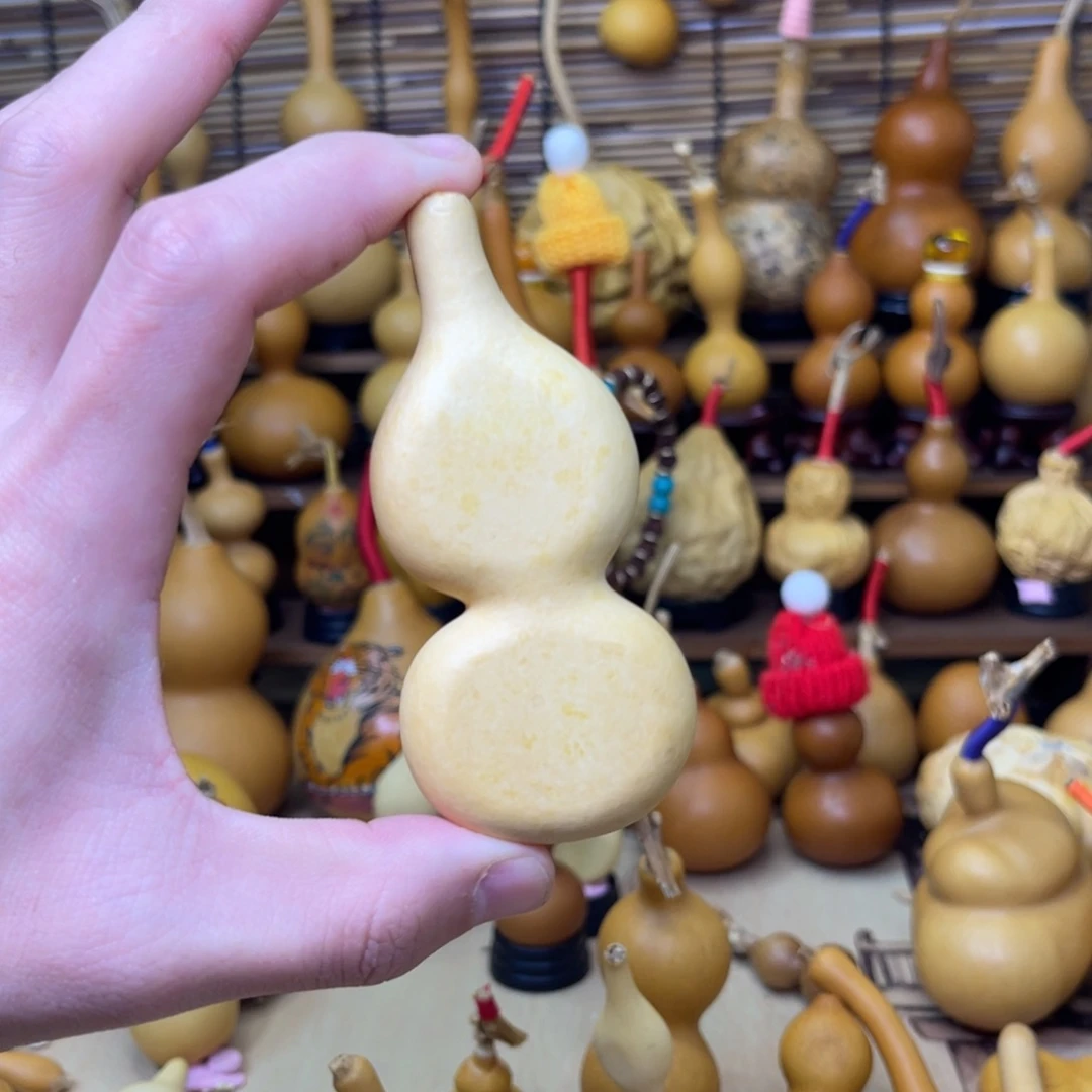 厚皮不响籽本捻厚皮16