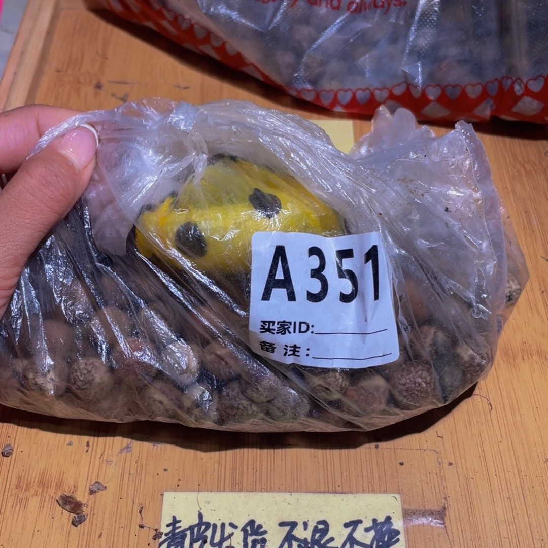 天***）桃核吊坠桃核散子不退不换