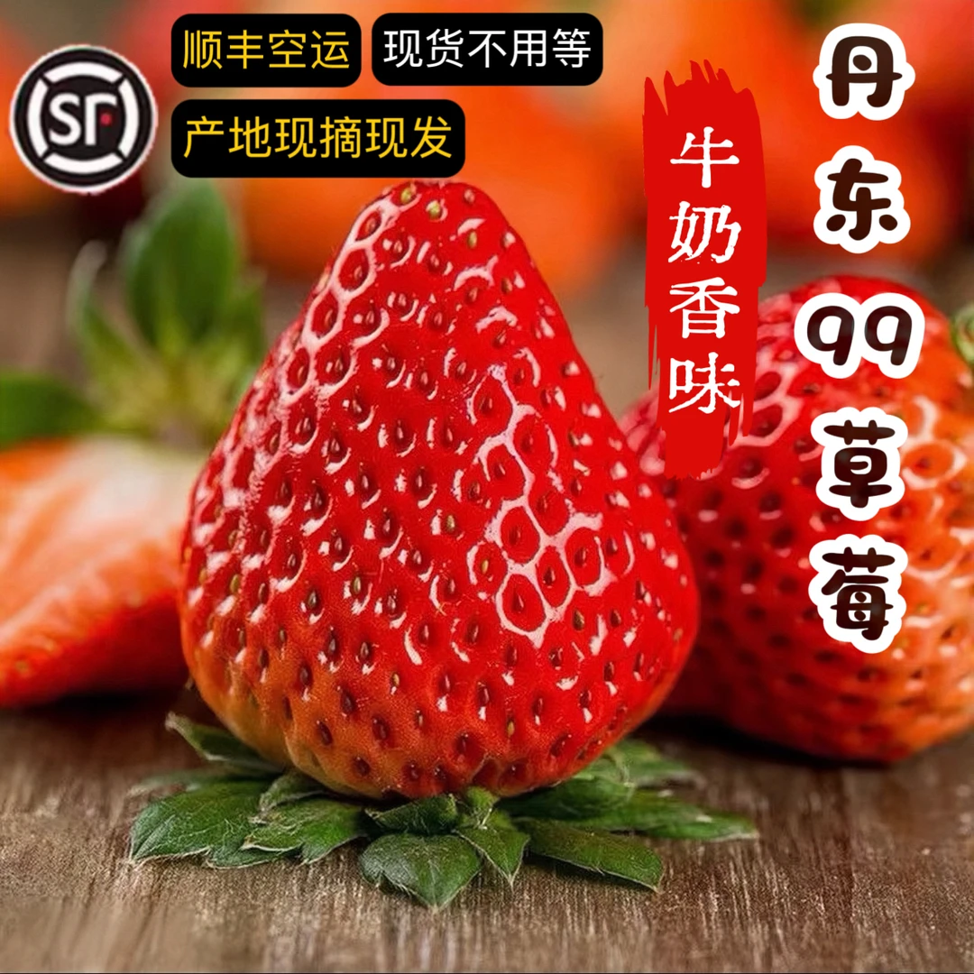 [现货秒发]正宗丹东99草莓丹东红颜草莓核心产区自产自销顺丰发货