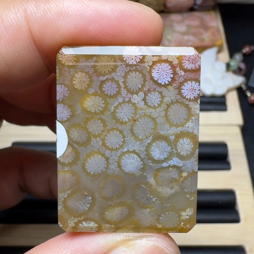 未镶嵌纯天然色有机玉石保真色硅化玉