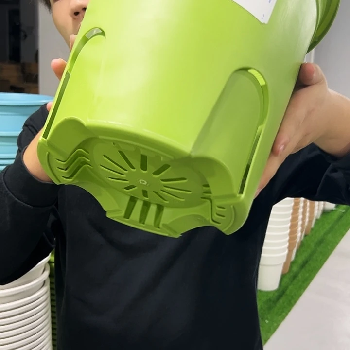 正品圆控口24高24果绿色5只无托