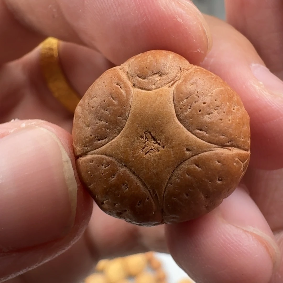 手串凤眼菩提20.5x14.7五星