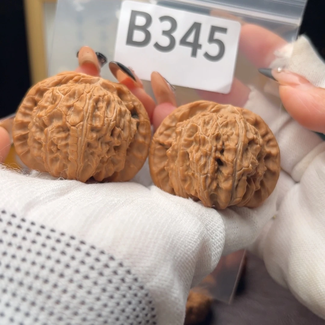把件文玩核桃48白狮子b345