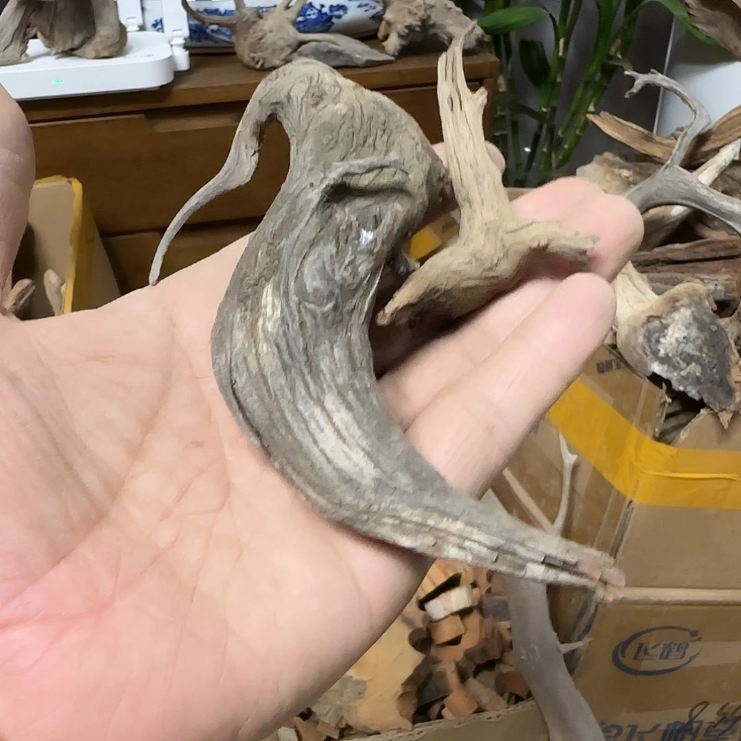 琦***木陈化到位坨坨疙瘩