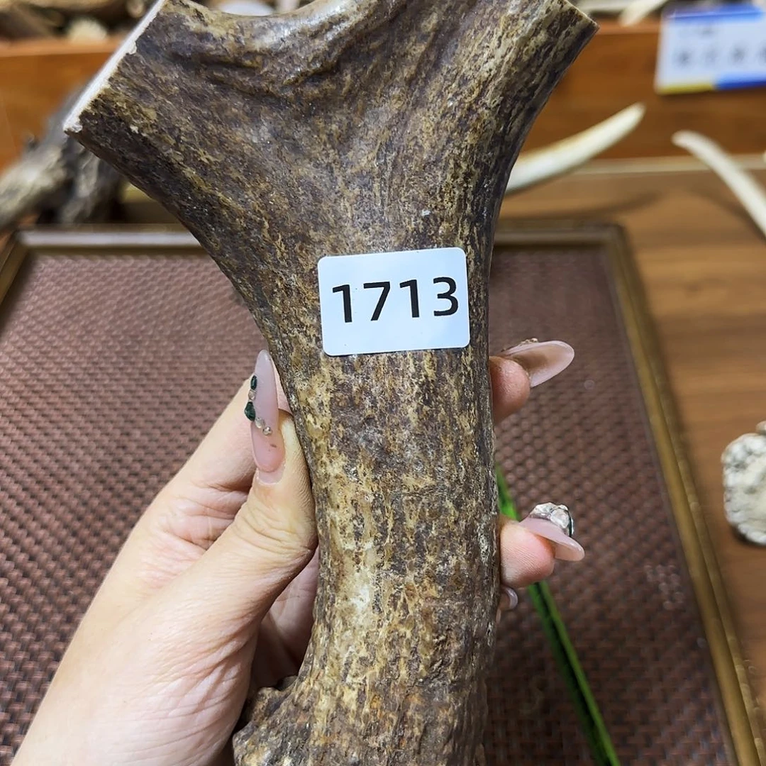 鹿骨手串/手链1713弹弓料