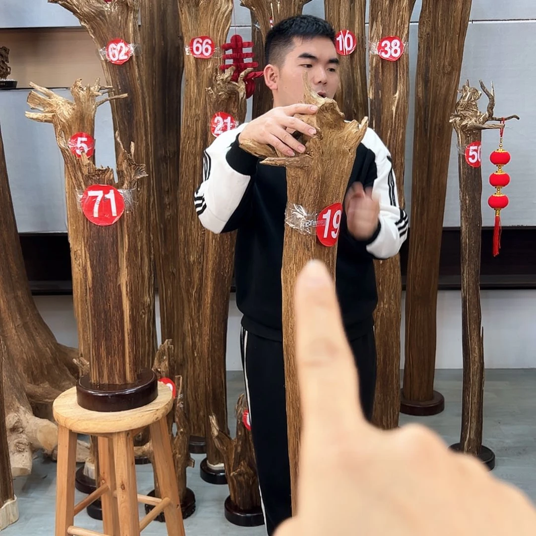 沉香摆件海南沉香摆件