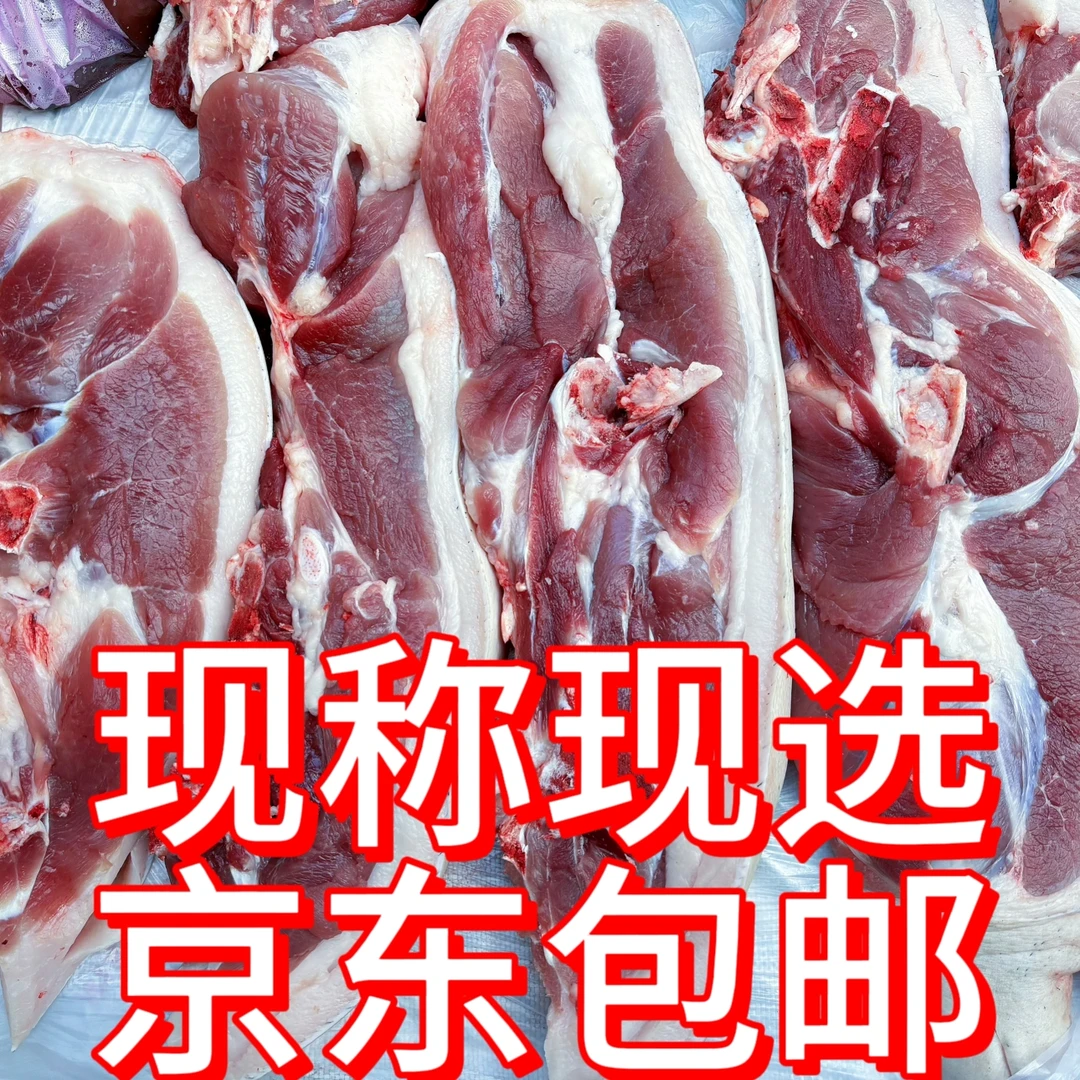 大别山金寨黑毛猪放养跑山猪土猪 现场称重