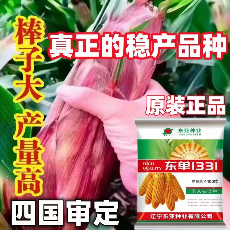 东单1331高产玉米种子红轴大棒抗病抗倒东亚小钢炮包谷种国审正品