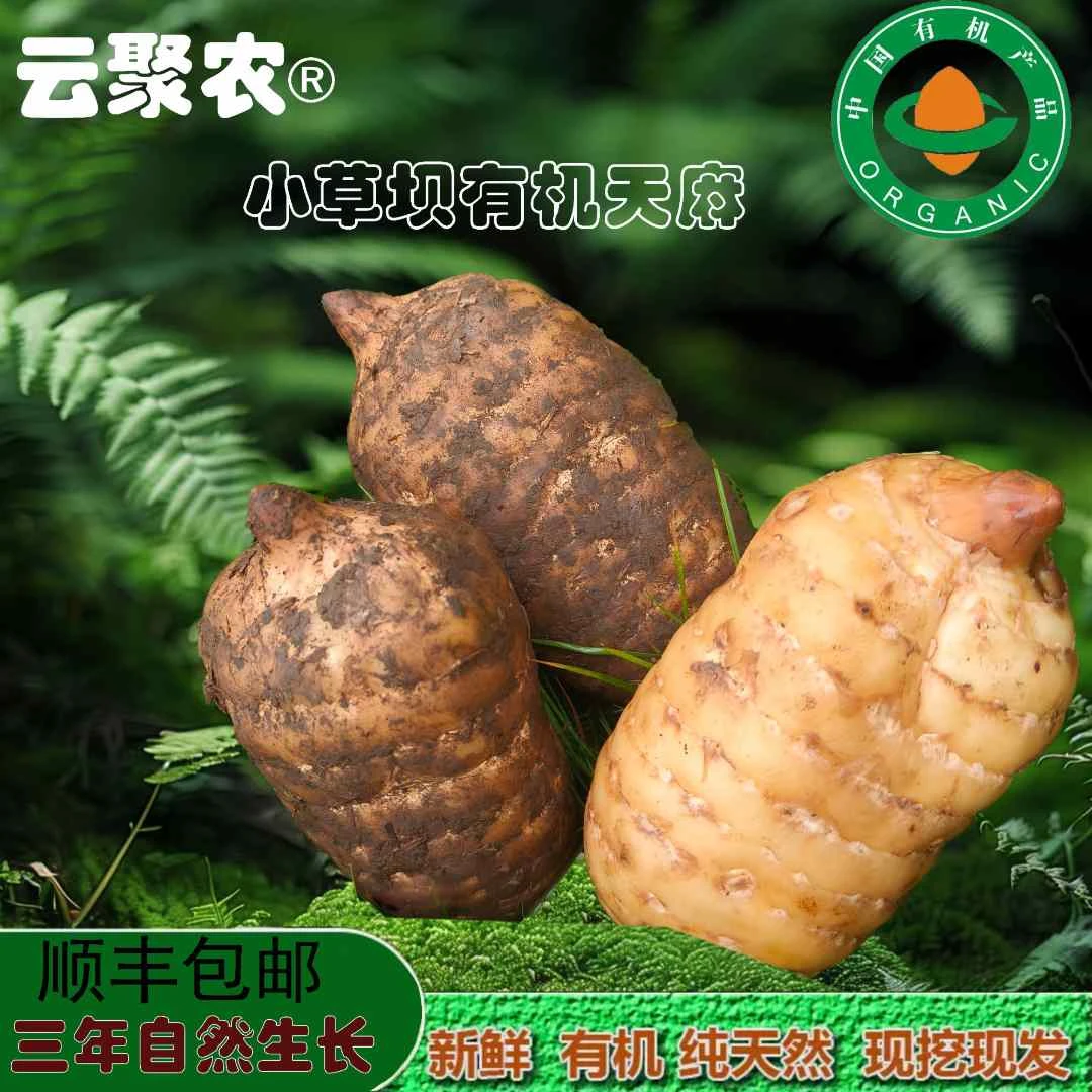 【有机天麻】云南昭通新鲜乌天麻小草坝天麻有机鲜天麻500g顺丰包邮