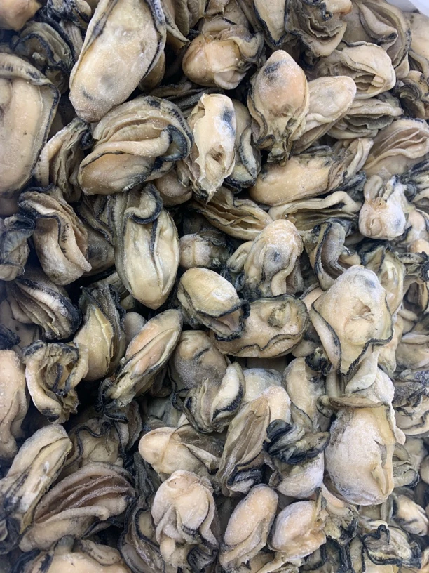 【蚝西施海味】本港半干40-50头金蚝干包邮