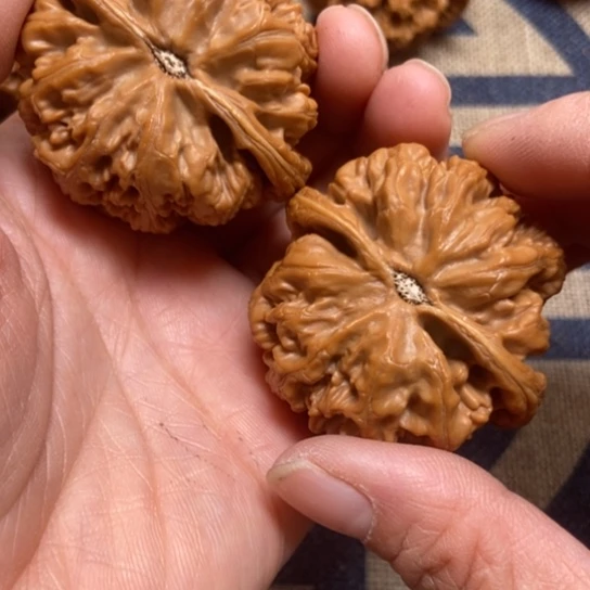 吊坠文玩核桃粗筋全品48