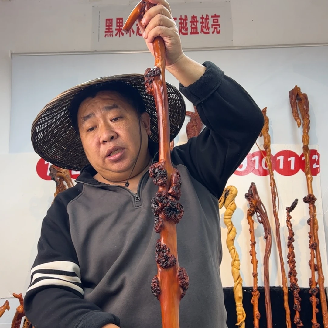 其他黑果木黑果木251