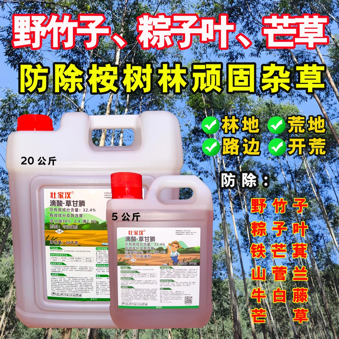 林地荒地路边防除野竹子粽子叶牛白藤芒草铁芒萁顽固杂草除草剂