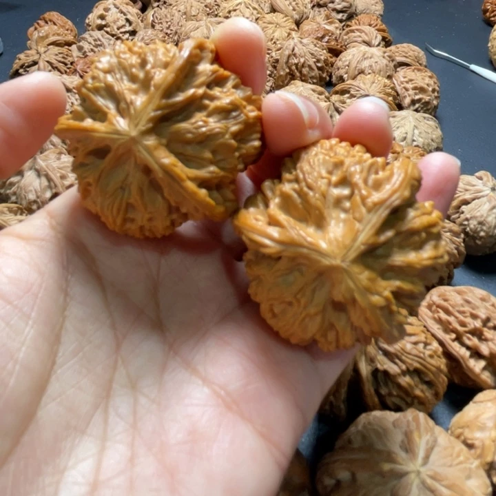 文山三棱41尺寸核桃哈哈哈哈哈哈哈