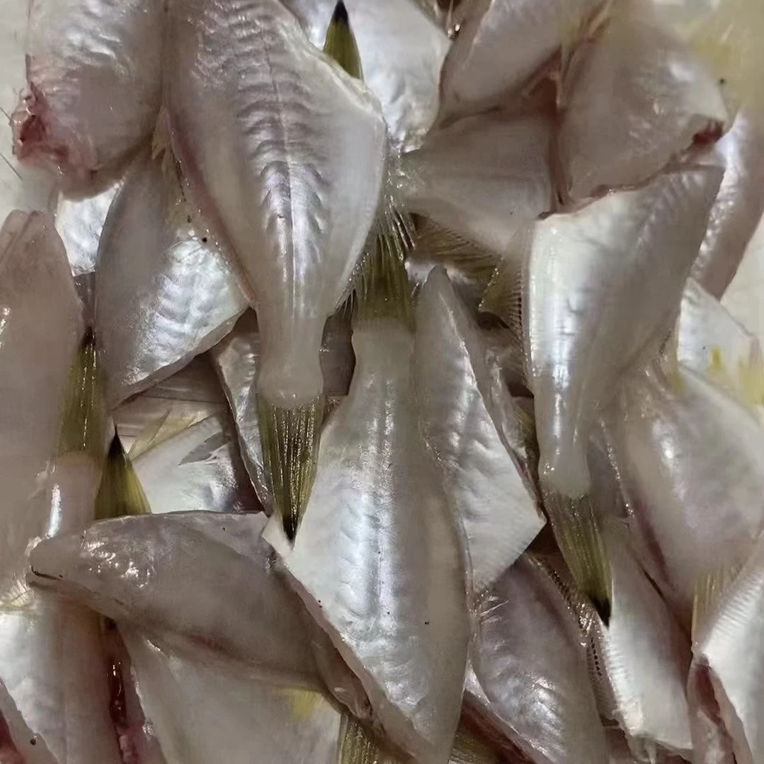 本港三去剥皮鱼4盒250g/盒顺丰包邮茂名博贺港海鲜