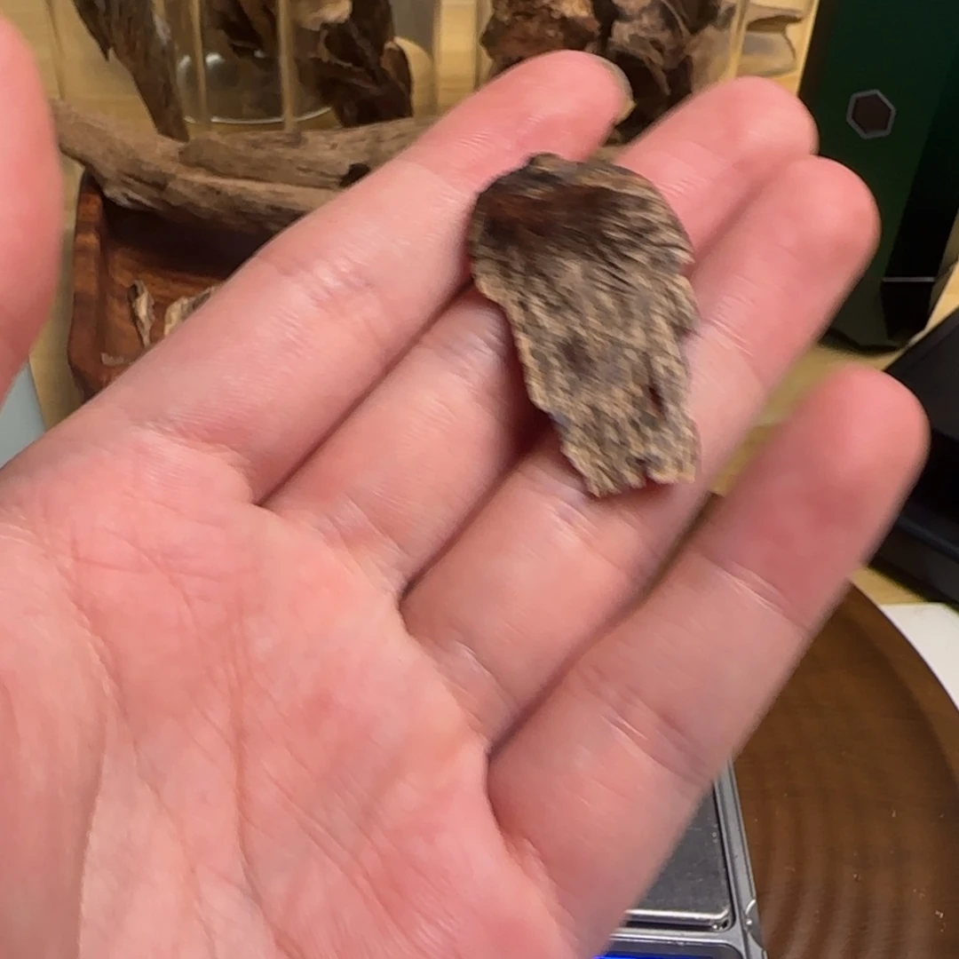 野料海南壳子沉香0.7克