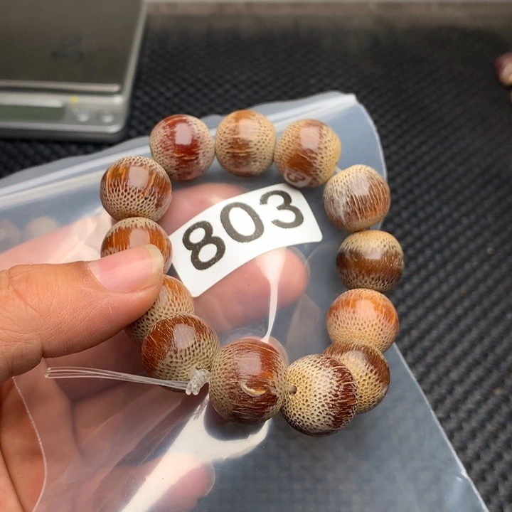 大果紫檀（缅甸花梨）