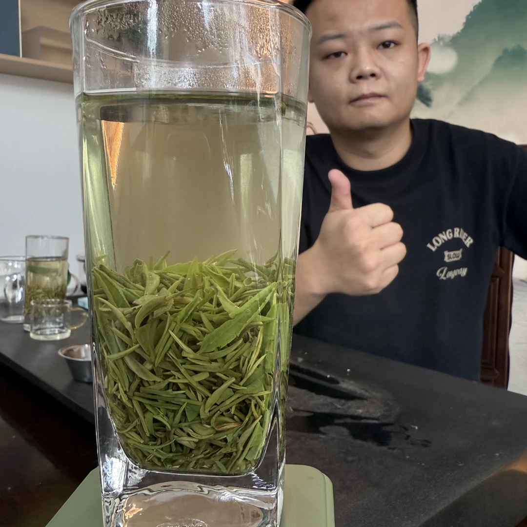 (日常茶)正宗信阳毛尖优质日常茶