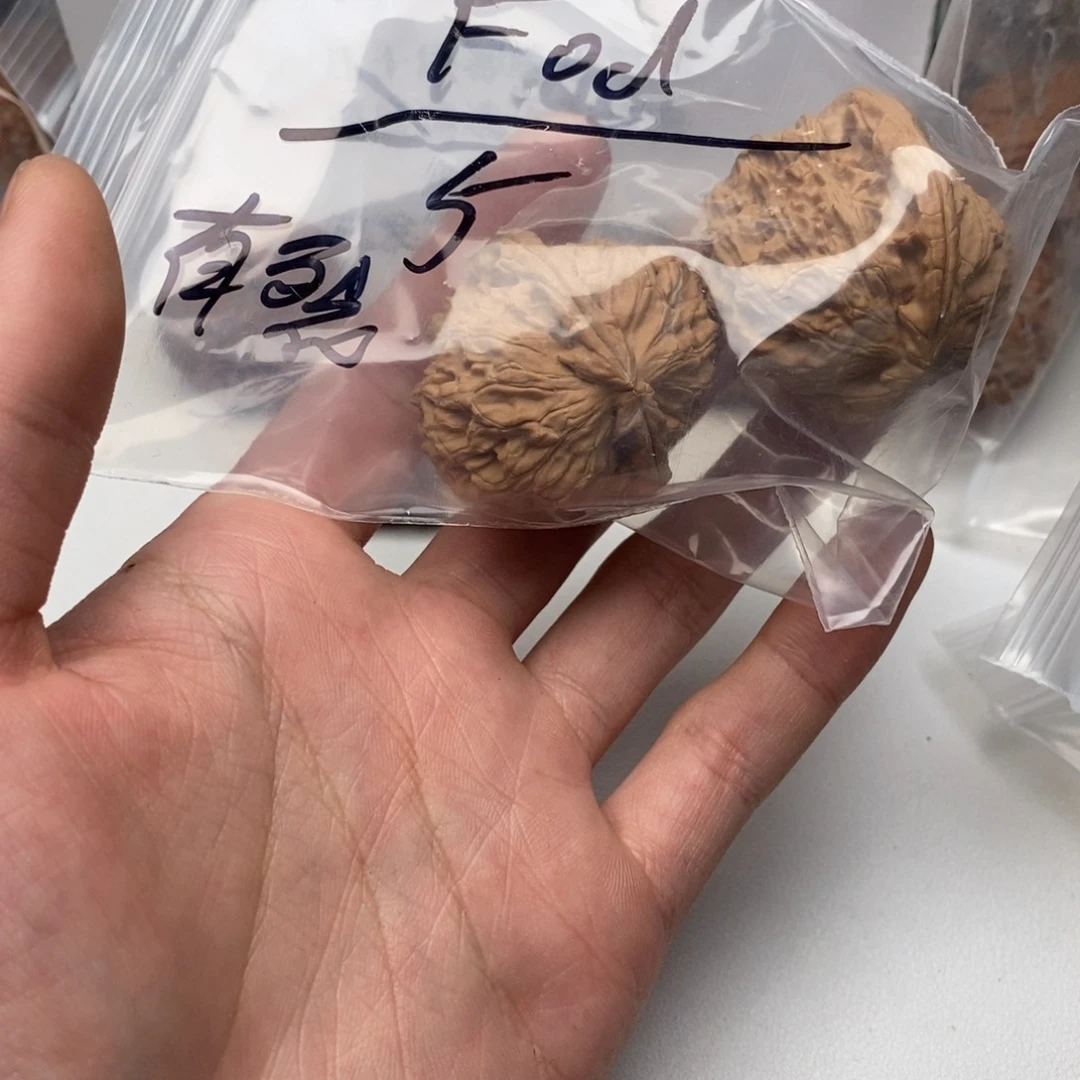 核桃手串/手链F*d白狮子有裂文玩核桃