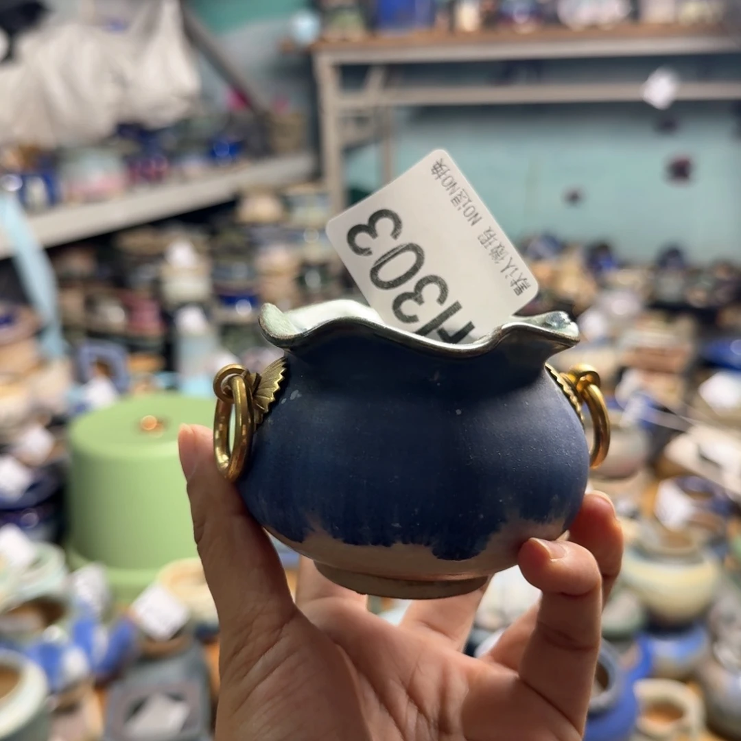 重庆小燕子欢迎大家303