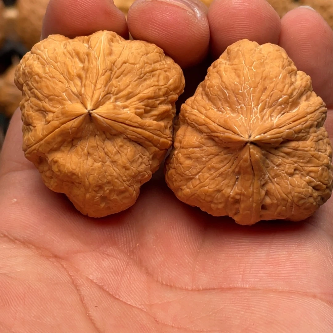 吊坠文玩核桃虎贲三棱39尺