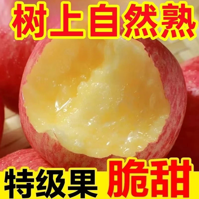 【当季新果】红富士苹果冰糖心苹果应季新鲜水果脆甜整箱批发