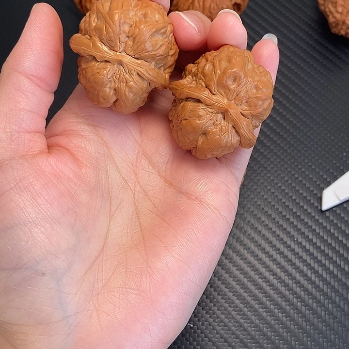 菩提籽类35蛤麻。