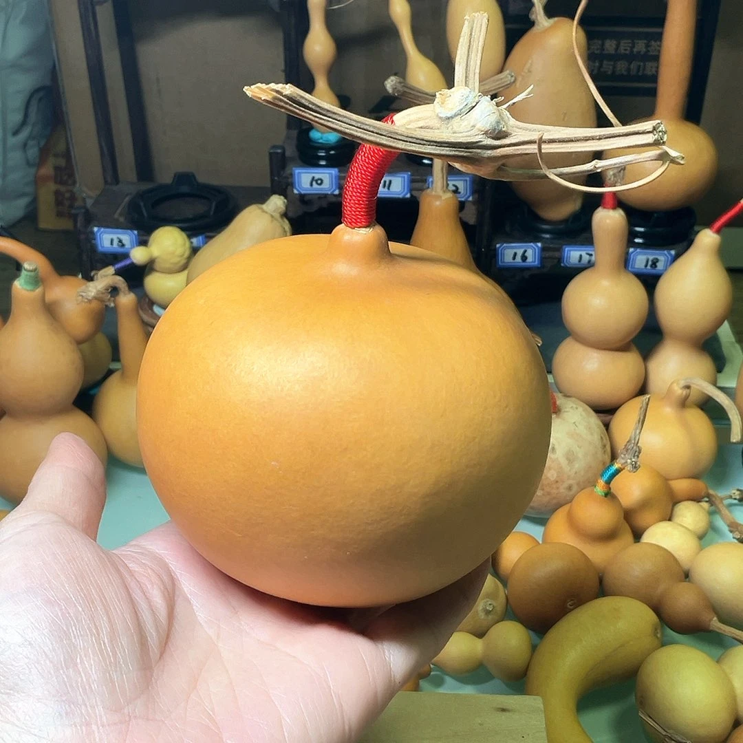 瓣**瓣老皮红皮响籽墩墩