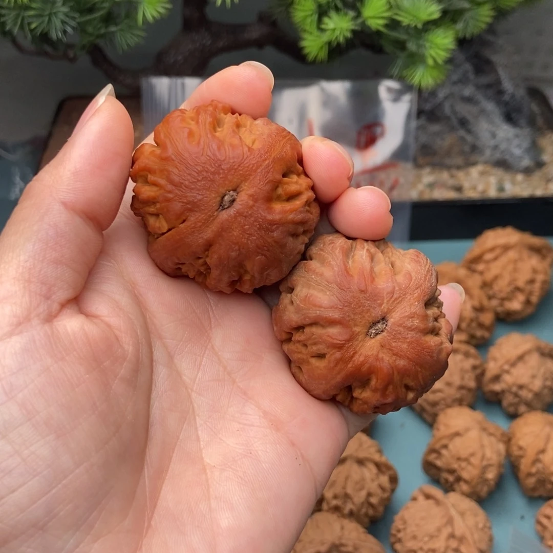 文玩核桃把件霸王龙2