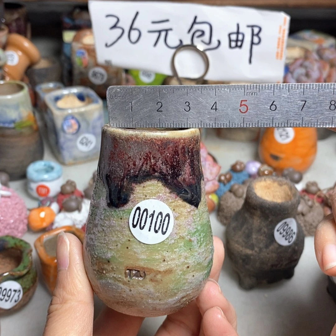 拍5送一个小礼物