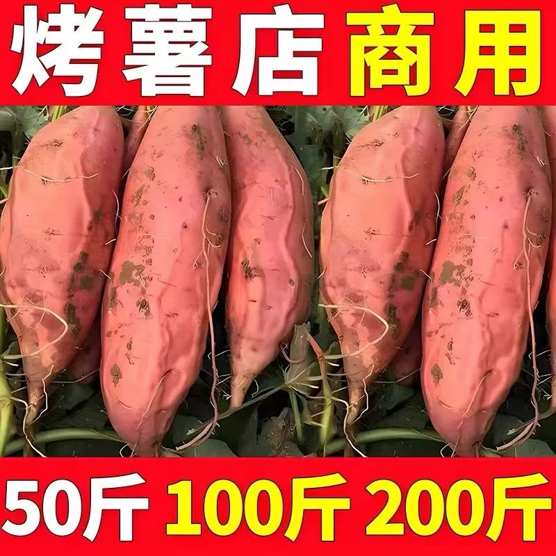 山东烟薯25号新鲜糖心蜜薯香甜流油可蒸煮可烤地瓜红薯
