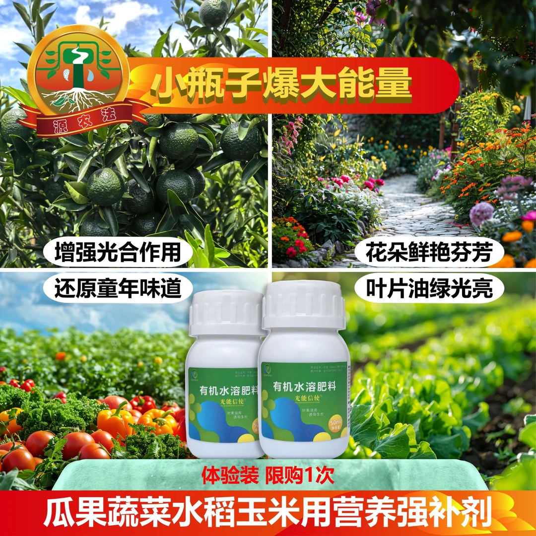 瓜果蔬菜水稻植物光信号（体验装）促叶片油亮瓜果周正保花保果提质