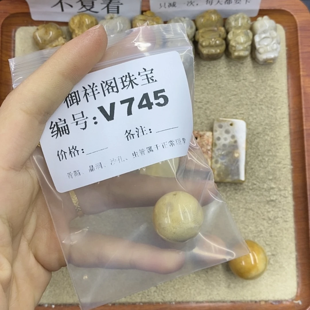 硅化珊瑚（珊瑚玉）颈饰未镶嵌阳