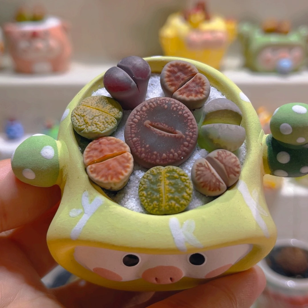 062高端多肉带盆带土手工盆