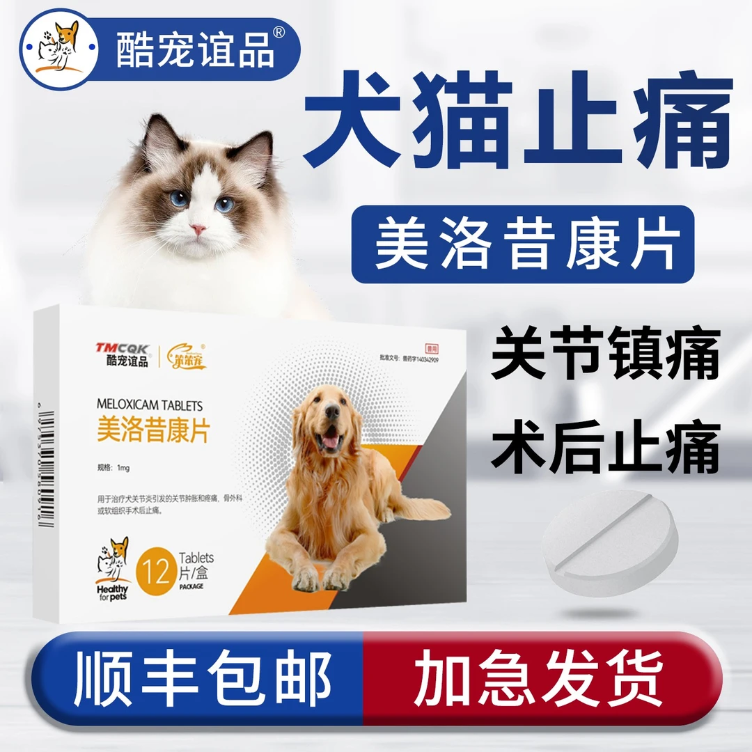 宠物药品美洛昔康片猫狗止疼消炎片关节腿瘸绝育美洛昔康宠物药