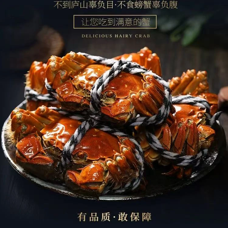 【活蟹】江苏大闸蟹 母2.4-2.7两 买8只送2只（2.4-2.7）母蟹 顺丰包邮 彩箱泡沫箱随机发