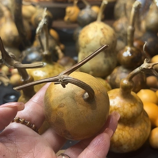 大**我葫芦葫芦户葫芦