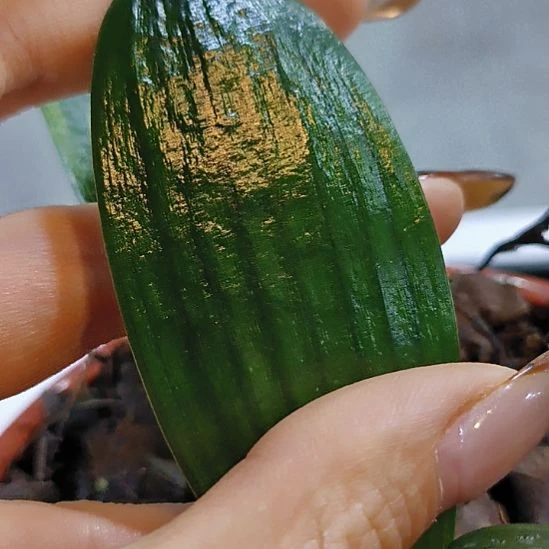 完全开放还有仔仔细细嘻嘻