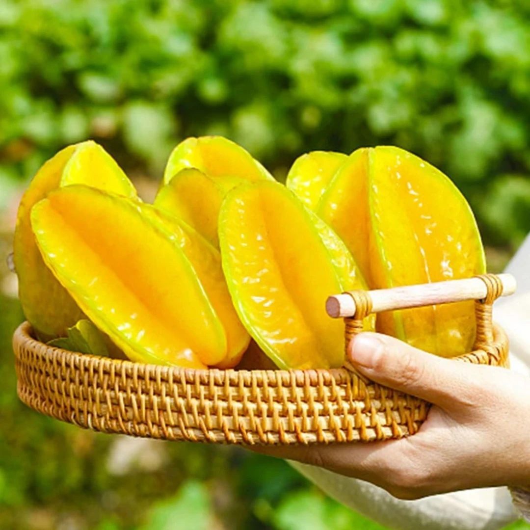 【精品】漳州树上熟甜杨桃新鲜水果时令水果应季水果洋桃现摘现发