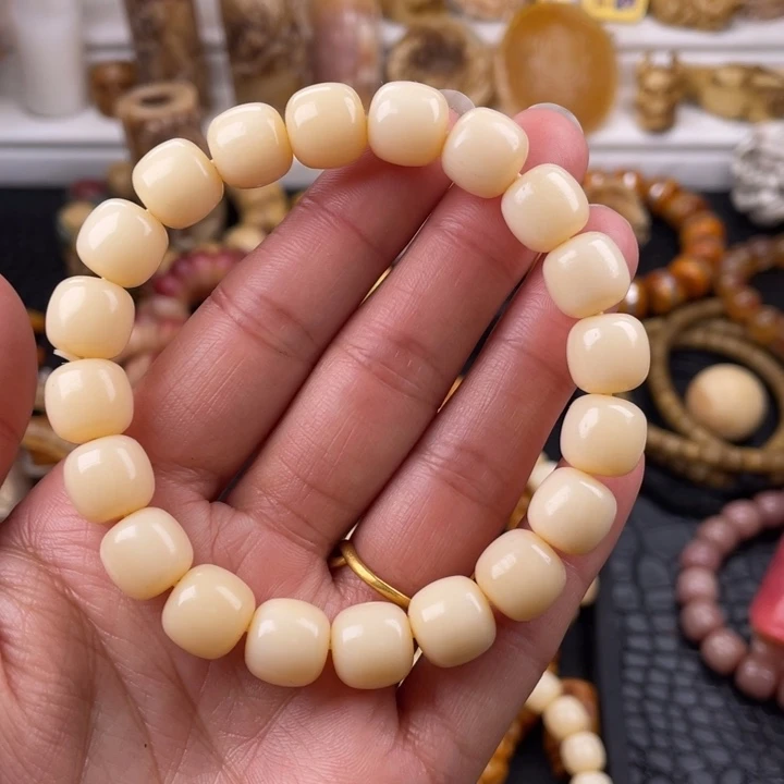 驼骨其他骆驼骨老邢11