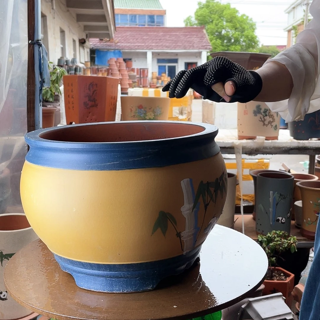 蓝黄鱼缸熊猫大哈哈哈哈哈哈哈